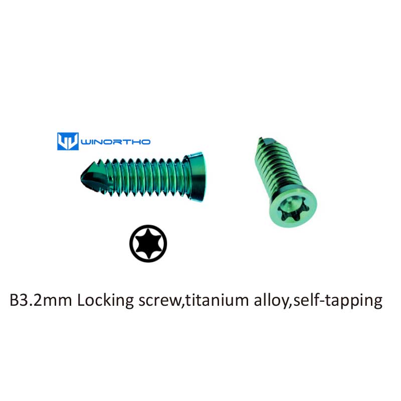 B3.2MM LOCKING SCREWS ALPS veterinary orthopedic instruments tools pet surgical medical bone ao