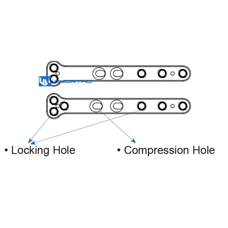 2.0mm Locking Double Threaded T Plates pet anmails dog T Plate bone screws vet veterinary orthopedic winorhto